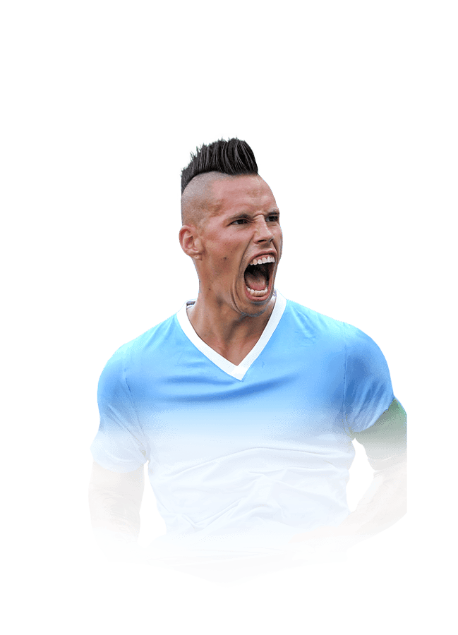 FC 25 Hamsik Face